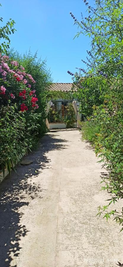 Secret Garden - Chez Gilles Et Tra - Maison D Hote -T2 Super Mignon, Neuf Et Independant , Dans Cadre Agreable Et Zen Valergues Zewnętrze zdjęcie